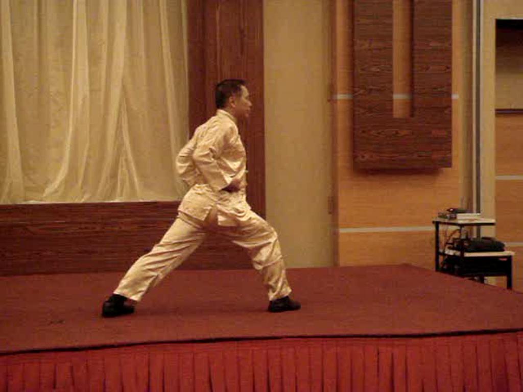 Advanced-Combined Shaolin-Taijiquan Course 2009