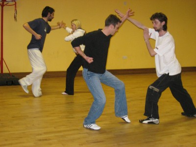 Advanced-Combined Shaolin-Taijiquan Course 2009