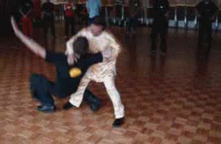 Advanced-Combined Shaolin-Taijiquan Course 2009