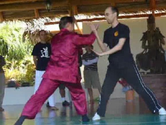 Taijiquan Combat