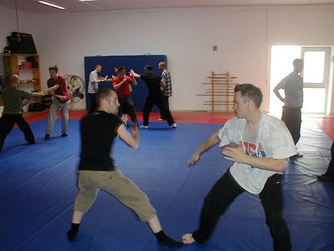 Shaolin Kung Fu Sparring