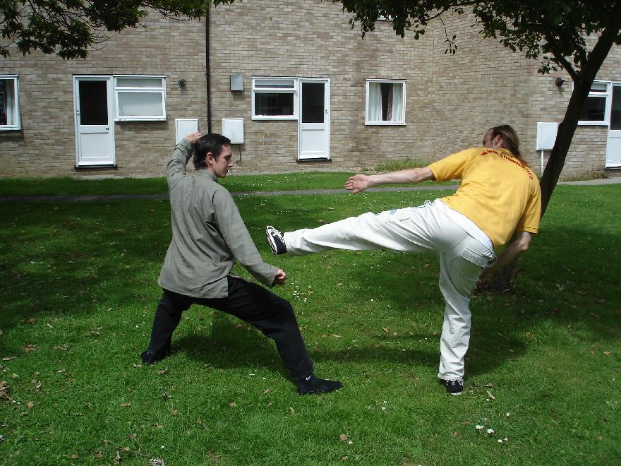 Tai Chi Chuan Combat Application