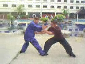 Taijiquan 12 Combat Sequences