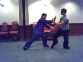 Taijiquan 12 Combat Sequences