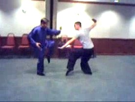 Taijiquan 12 Combat Sequences