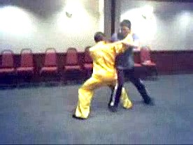 Taijiquan 12 Combat Sequences