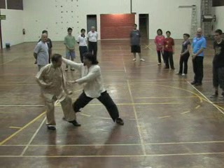 Shaolin 16 Combat Sequences