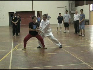 Shaolin 16 Combat Sequences