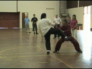 Shaolin 16 Combat Sequences