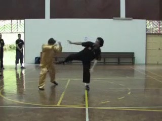 Shaolin 16 Combat Sequences