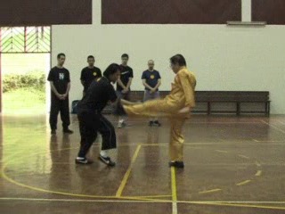 Shaolin 16 Combat Sequences