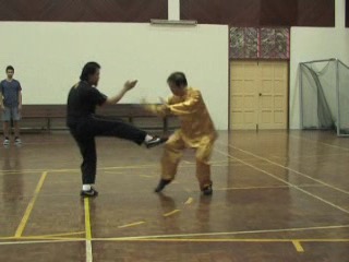 Shaolin 16 Combat Sequences