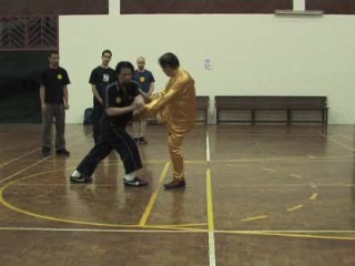 Shaolin 16 Combat Sequences