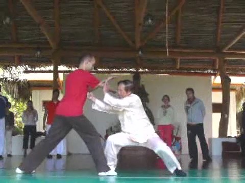 Taijiquan 12 Combat Sequences