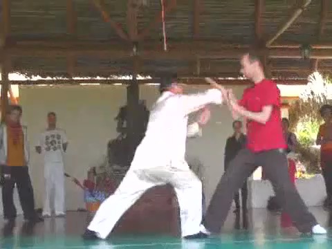 Taijiquan 12 Combat Sequences