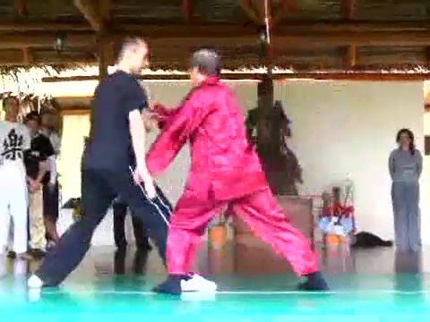 Taijiquan 12 Combat Sequences