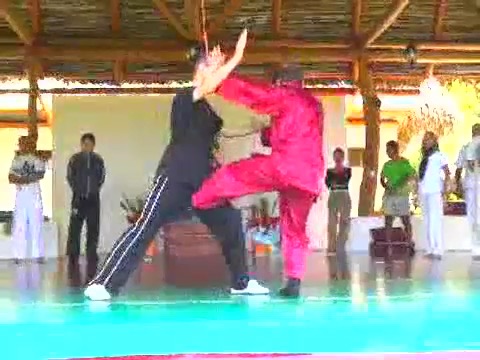 Taijiquan 12 Combat Sequences