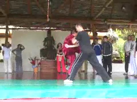 Taijiquan 12 Combat Sequences