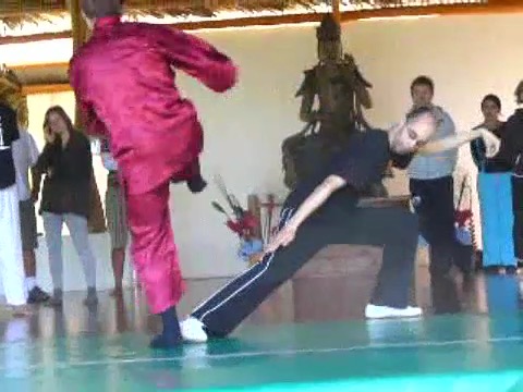 Taijiquan 12 Combat Sequences