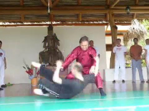 Taijiquan 12 Combat Sequences