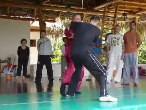 Taijiquan 12 Combat Sequences