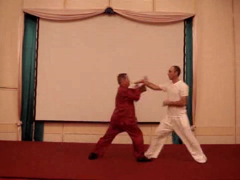 Taijiquan 12 Combat Sequences