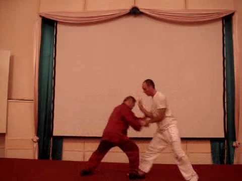 Taijiquan 12 Combat Sequences