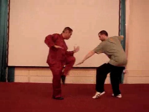 Taijiquan 12 Combat Sequences