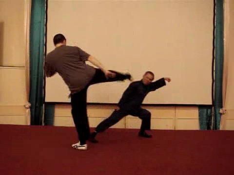 Taijiquan 12 Combat Sequences