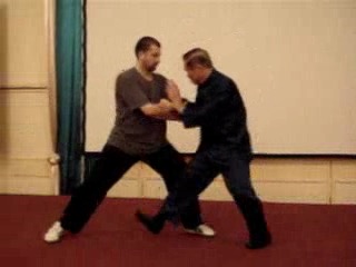 Taijiquan 12 Combat Sequences