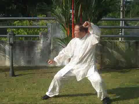 Body-Movement in Taijiquan