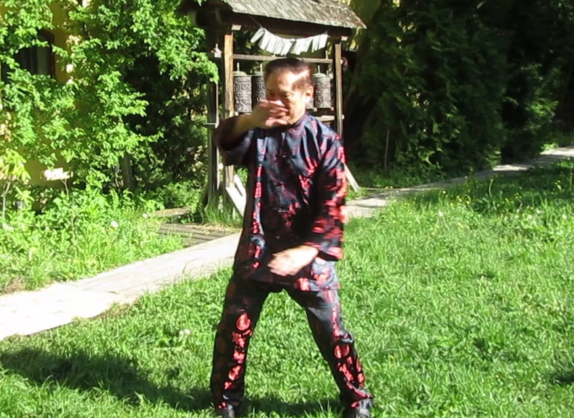 Wudang Kungfu