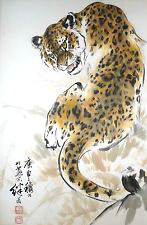 leopard