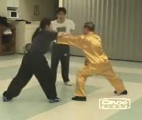 Shaolin Kung Fu