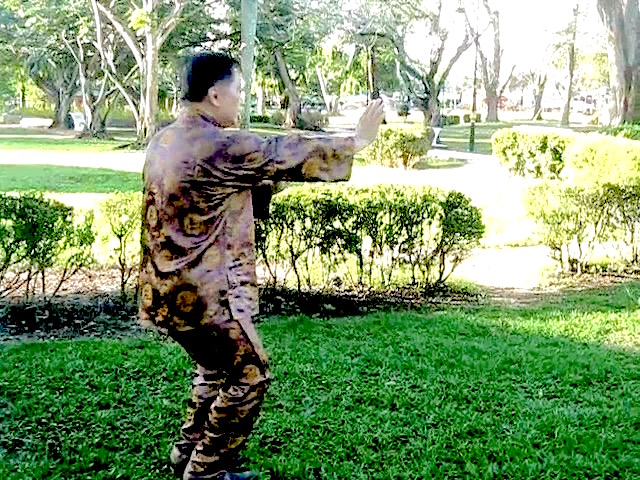 Wu Chuan You Style Taijiquan