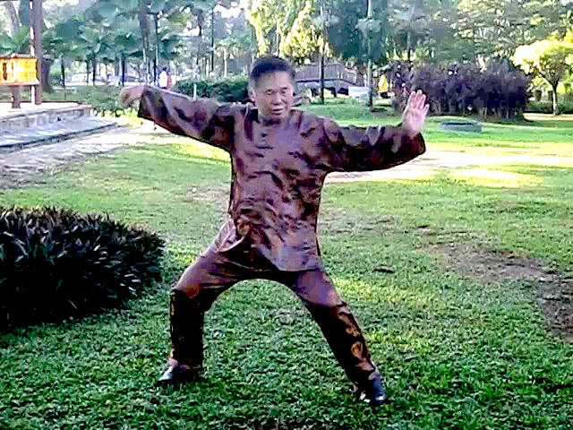 Wu Chuan You Style Taijiquan