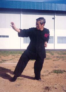 Hoong Ka Kungfu