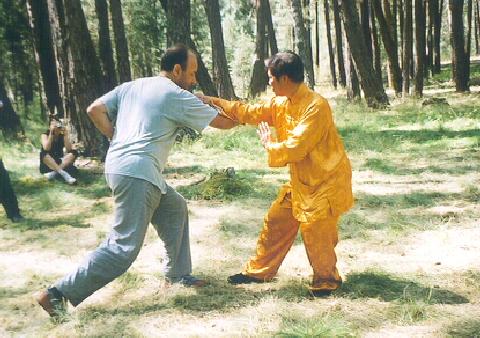 Wing Choon sparring