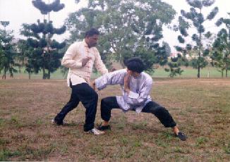 Kungfu Sparring