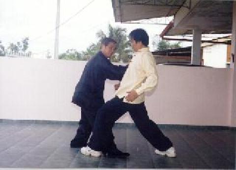 Tai Chi Chuan combat application