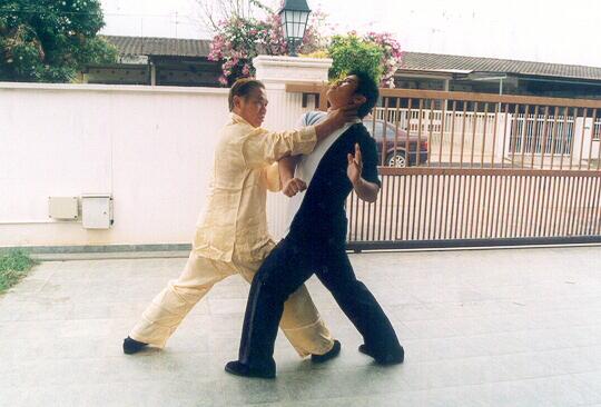 Counters against Chain Punches