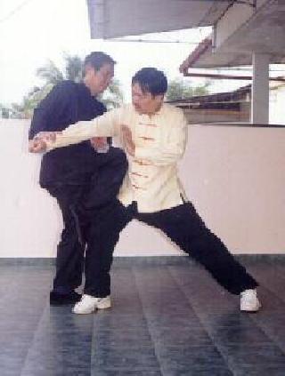 Taijiquan combat