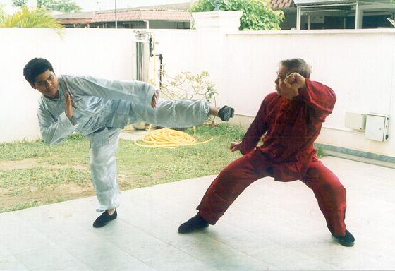 Wahnam Taijiquan sparring