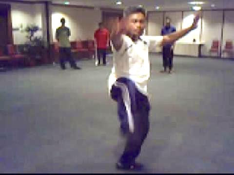 Wahnam Taijiquan Cross Hand Thrust Kick