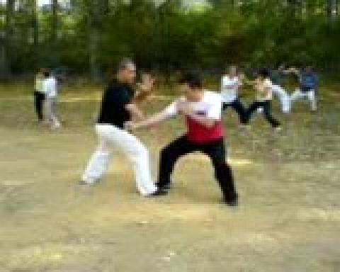 Taijiquan Combat Application