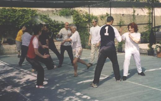 combat application of Taijiquan