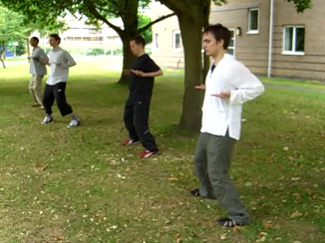 Internal force in Taijiquan