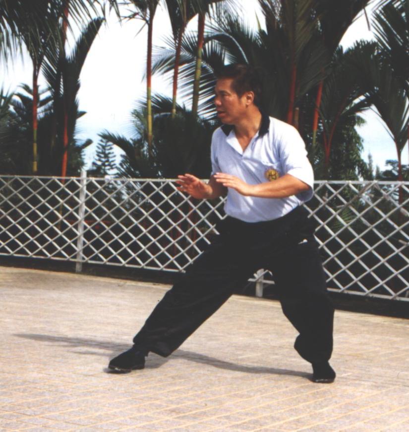 Taijiquan, Tai Chi Chuan