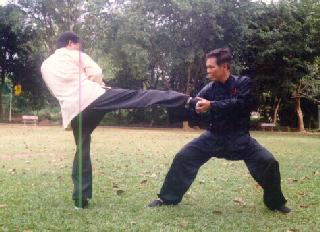 Taijiquan