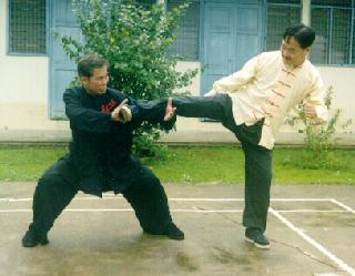 Lu technique of Taijiquan